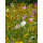 Blumenwiese "Vögel"